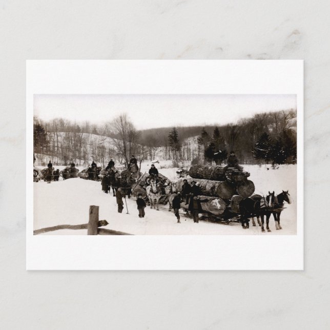 1905 Lumberjacks at work Postcard (Front)