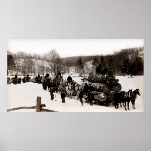 1905 Lumberjacks at work Poster