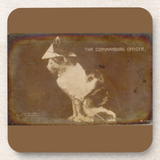 1906 The Commanding Officer dressed cat RPPC Beverage Coaster