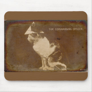 1906 The Commanding Officer dressed cat RPPC Mouse Pad