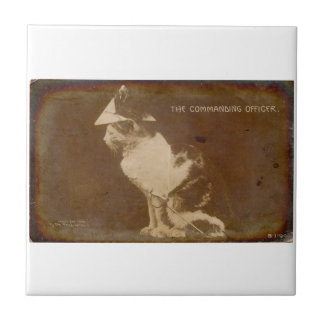 1906 The Commanding Officer dressed cat RPPC Tile