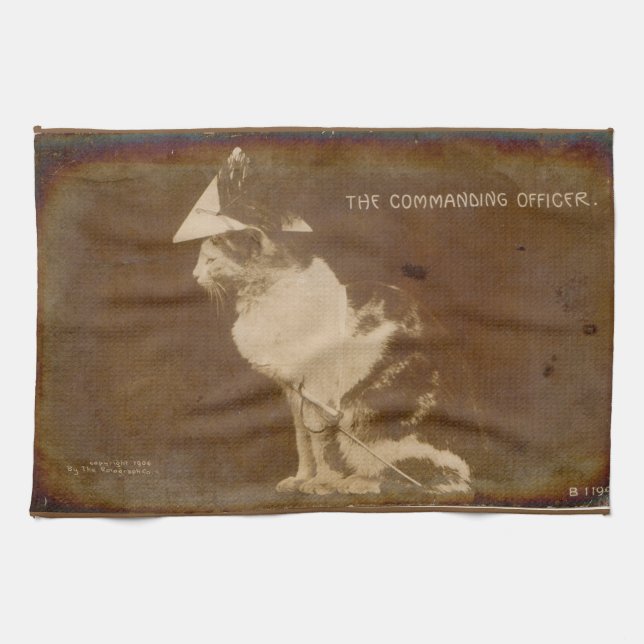 1906 The Commanding Officer dressed cat RPPC Towel (Horizontal)