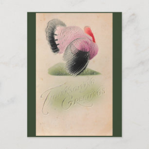 1907 Vintage Thanksgiving Pink and Gray Turkey Postcard