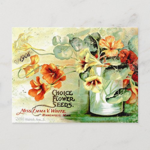 1908 CHOICE FLOWER SEEDS NASTURTIUM LITHOGRAPH POSTCARD