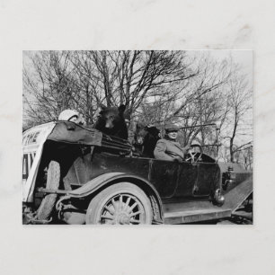 1910's Touring CAR w/ Two Bears Auto Vintage Photo Postcard