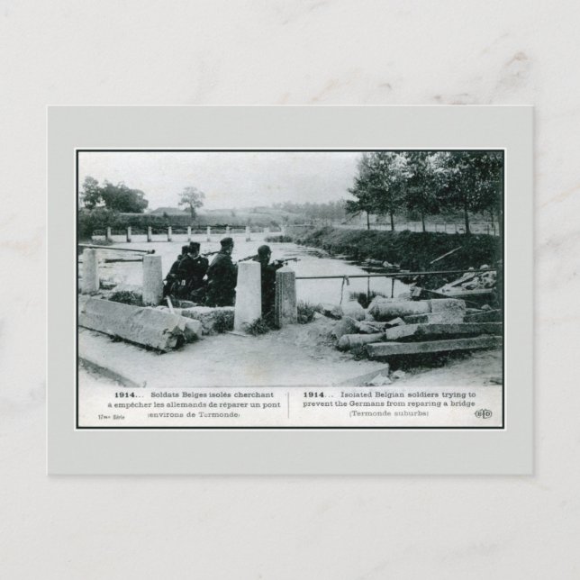 1914 Belgian soldiers in defense near Termonde Postcard (Front)