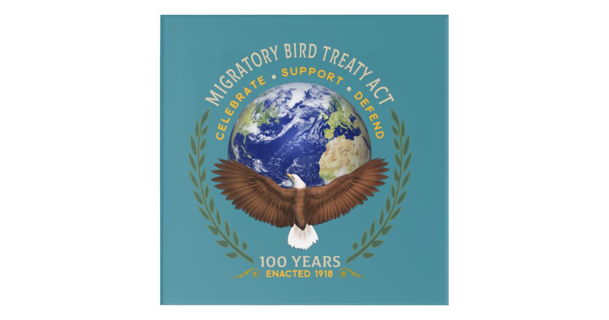 1918 Migratory Bird Treaty Act 100 Years Old Acrylic Print