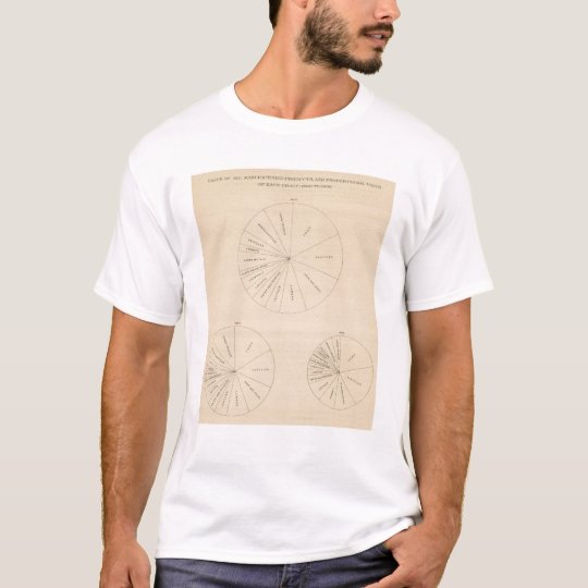 191 Value manufactured products 1880-1900 T-Shirt
