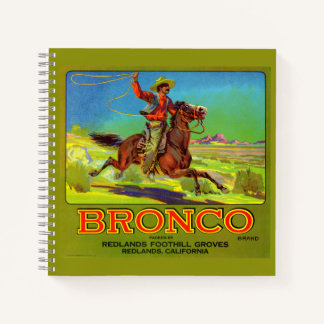 1920s Bronco fruit crate label Notebook