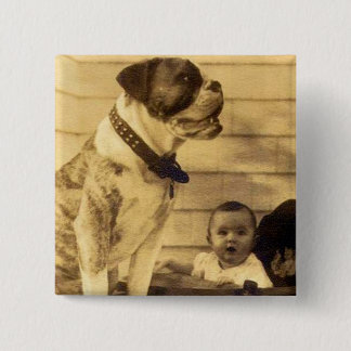 1920s pitbull guards baby button