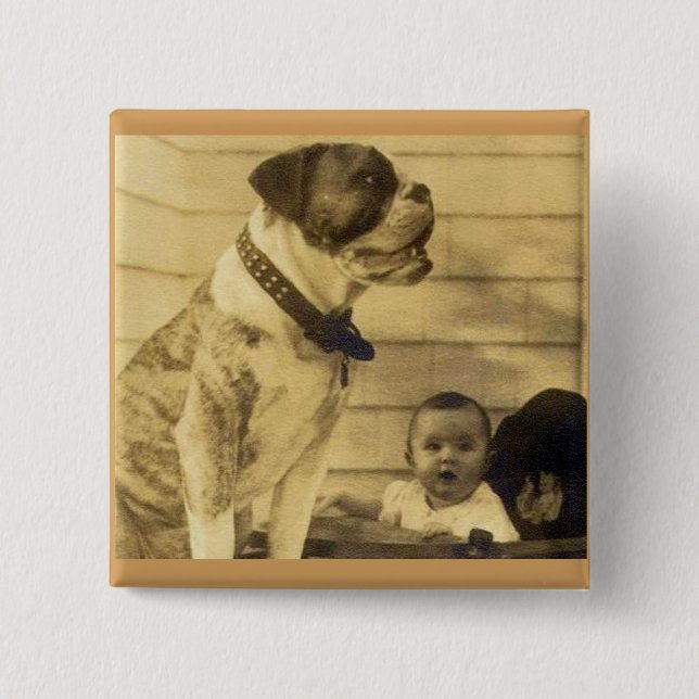 1920s pitbull guards baby pinback button (Front)