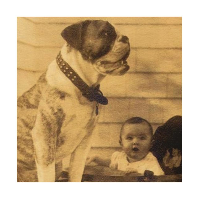 1920s pitbull guards baby wood wall decor (Front)