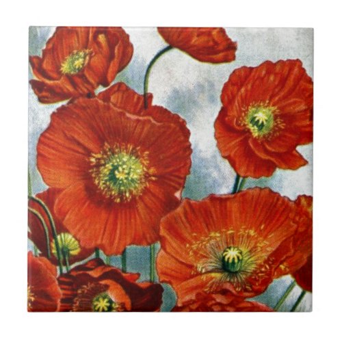 1922 Iceland Poppy Illustration Ceramic Tile