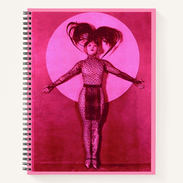 1922 oddball movie star get-up - pink notebook (Front)