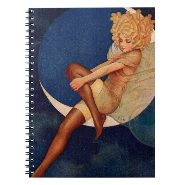 1928 GLAMOUROUS gal stockings advertisement Notebook (Front)