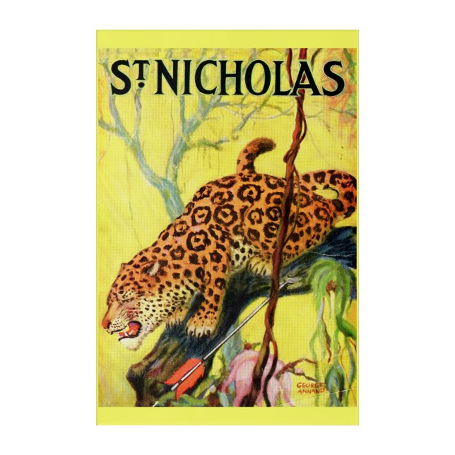 1929 St. Nicholas magazine cover leopard Acrylic Print (Front)