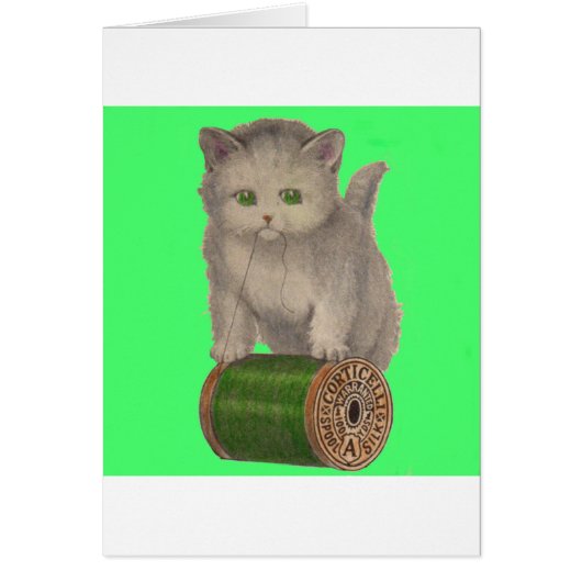 1930 Corticelli white kitten Cards (Front)