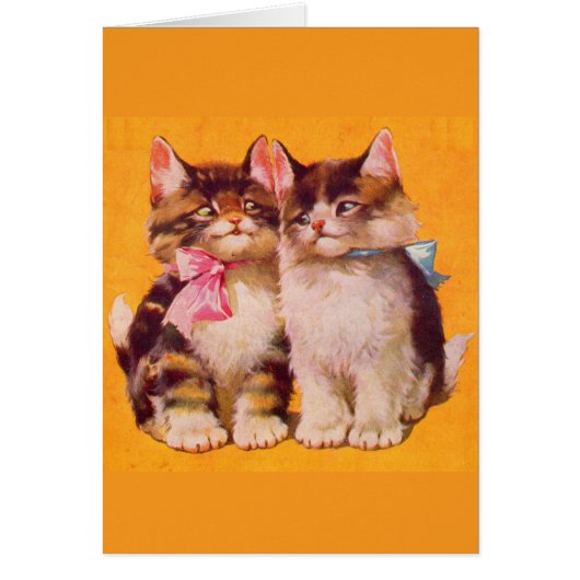 1930s adorable floofy kittens cards (Front)
