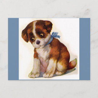 1930s adorable puppy no. 2 postcard