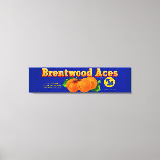 1930s Brentwood Aces apricots crate label Canvas Print