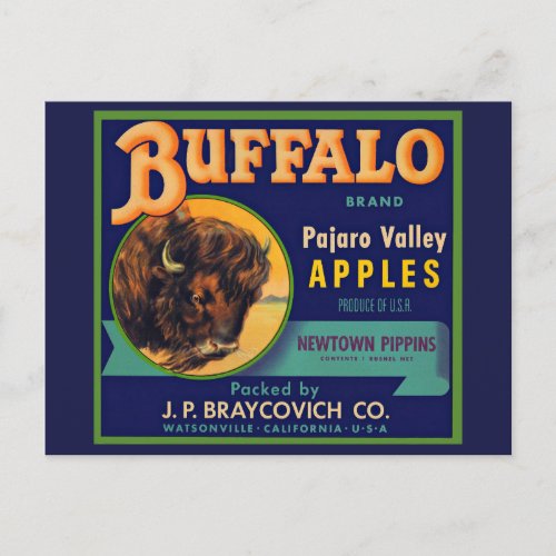 1930s Buffalo Brand Apples crate label Postcard