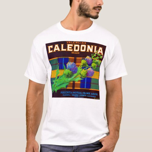 1930s Caledonia orange crate label