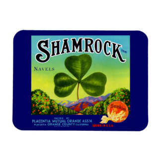 1930s fruit crate label Shamrock Navel Oranges Magnet