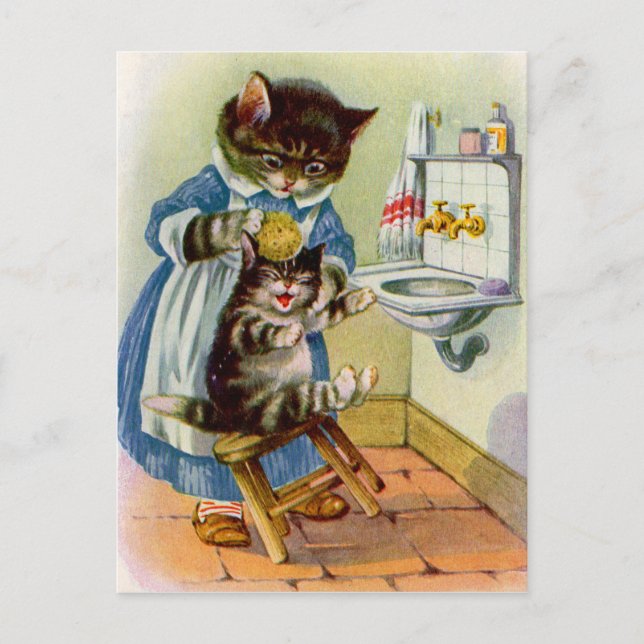 1930s kitty cat mama washes her kitten postcard (Front)