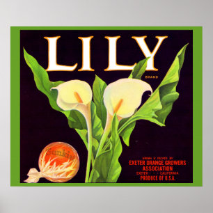 1930s Lily orange crate label Poster