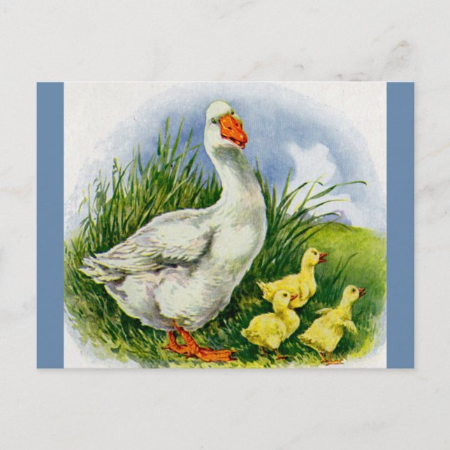 1930s mama duck and ducklings postcard (Front)