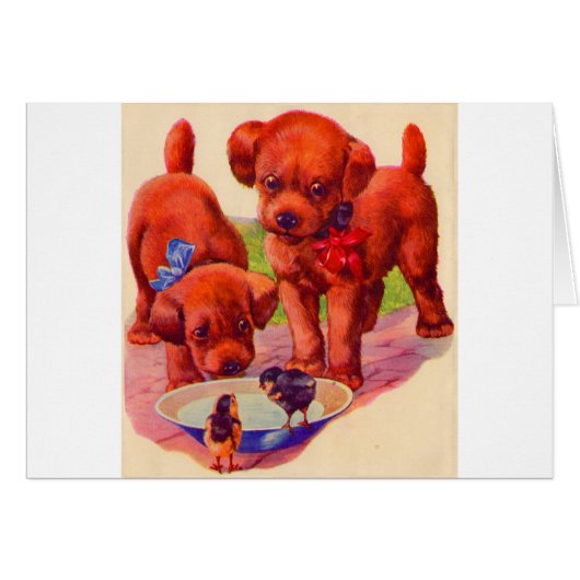 1930s puppies and birds cards (Front Horizontal)
