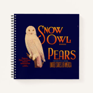 1930s Snow Owl brand pears fruit crate  label Notebook