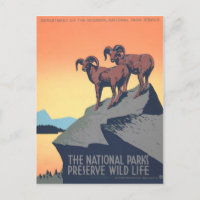 1930s Vintage Poster, Big Horn Sheep, Personalize
