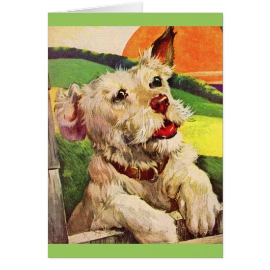 1940s adorable terrier dog (Front)