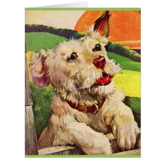 1940s adorable terrier dog (Front)