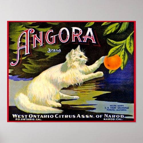 1940s Angora Brand Citrus Label With Cat  Poster