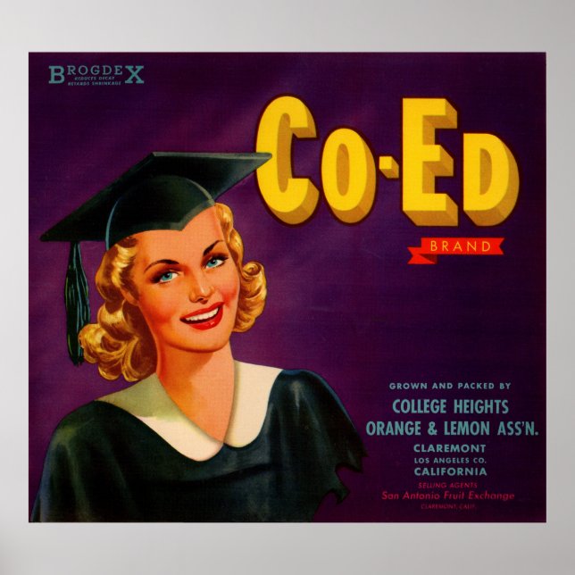 1940s Co-Ed Brand citrus crate label print (Front)