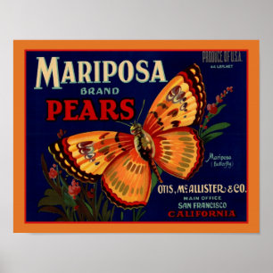 1940's Mariposa Butterfly Pears Poster