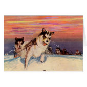 1940s Siberian husky sled dogs doing their thing (Front Horizontal)