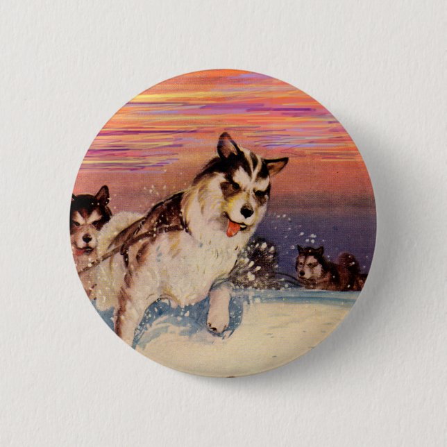 1940s Siberian husky sled dogs doing their thing Pinback Button (Front)