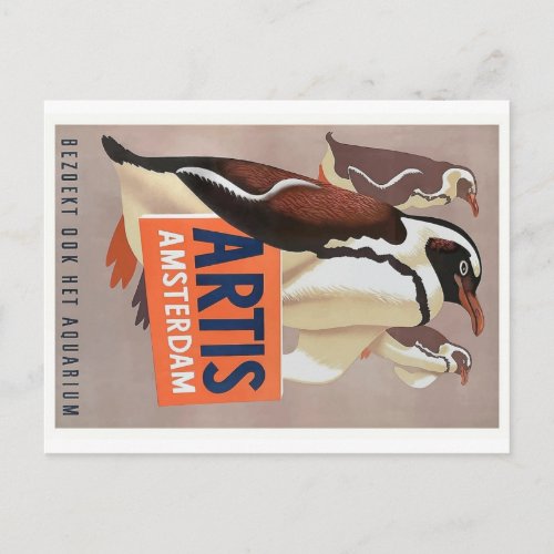 1947 Artis Zoo Amsterdam Penguins Poster Postcard