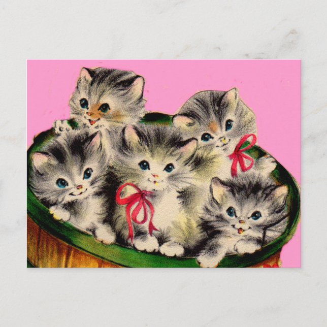 1950s adorable basket o' kittens postcard (Front)