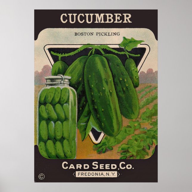 1950s cucumber seed packet cover poster (Front)