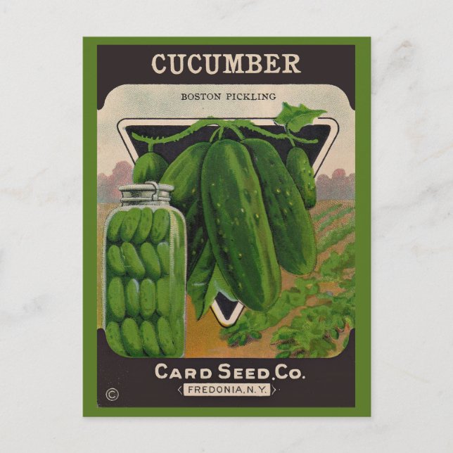 1950s cucumber seeds envelope cover postcard (Front)