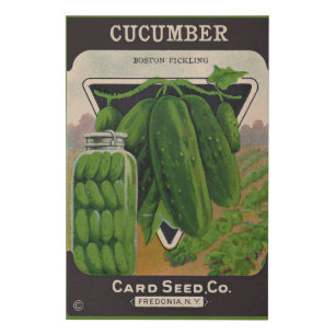 1950s cucumbers seed packet cover faux canvas print