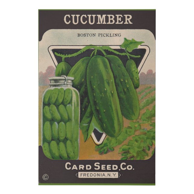 1950s cucumbers seed packet cover faux canvas print (Front)