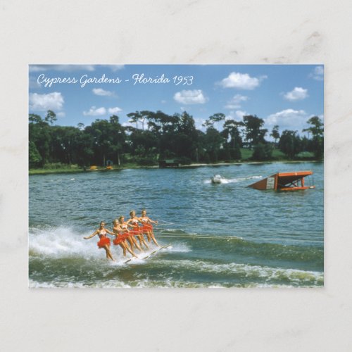 1950s Cypress Gardens Water Ski Show Aqua Maids Postcard