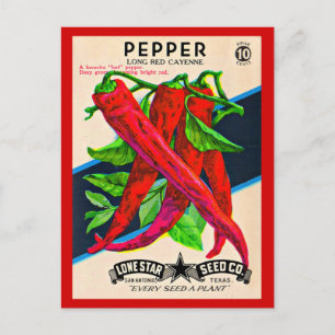 1950s seed packet cayenne pepper print postcard