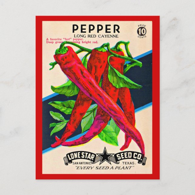 1950s seed packet cayenne pepper print postcard (Front)