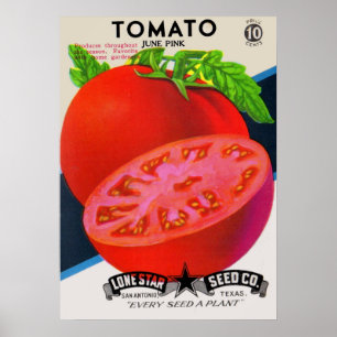 1950s seed packet tomato print